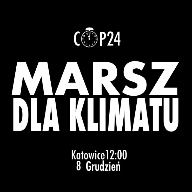 COP24 avatar polski B.jpg